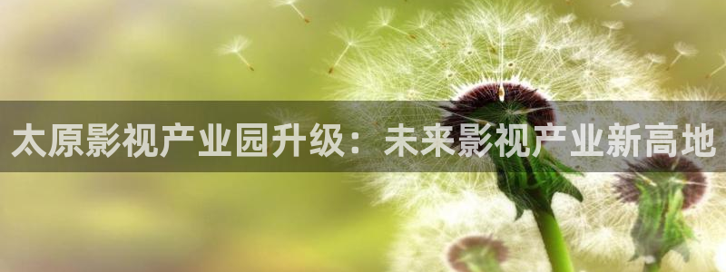 红杏成av人影院在线观看