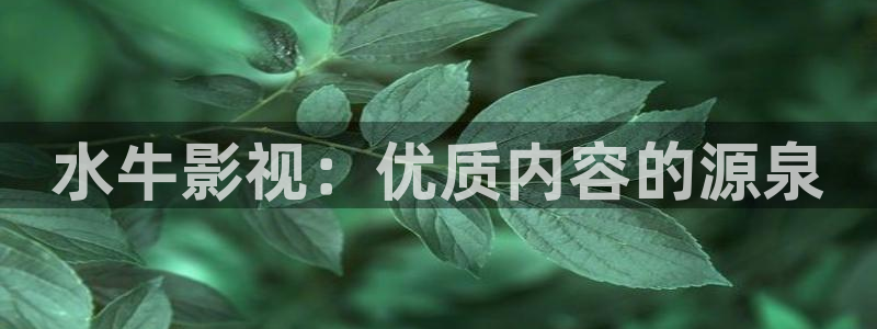 红杏影视网