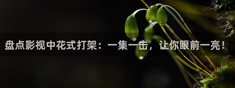 红杏视频电影